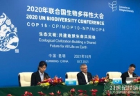 COP15：共建地球生命共同體，全球生物多樣性框架將聚焦4大長(zhǎng)期目標(biāo)
