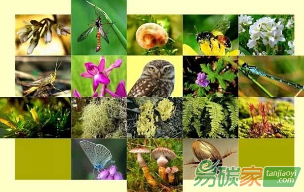 中國(guó)生態(tài)系統(tǒng)和生物多樣性經(jīng)濟(jì)學(xué)(TEEB)行動(dòng)方案國(guó)際研討會(huì)