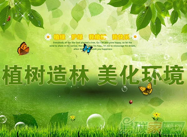 全國首個展會“碳中和”造林項目落戶蘭考縣
