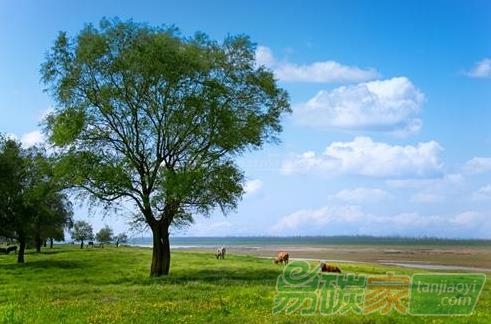 林業(yè)碳匯項(xiàng)目的儲(chǔ)備與開發(fā)“意義有多大”？