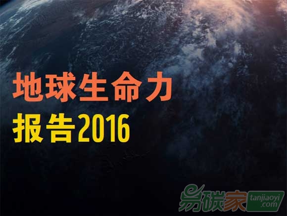 《地球生命力報告》發(fā)布2020年野生動物種群數(shù)量將會減少2/3