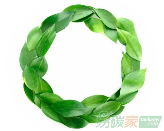 成都市人民政府辦公廳關于印發(fā)成都市鼓勵和支持開展出口產品低碳認證若干政策措施的通知【成辦函〔2019〕21號】