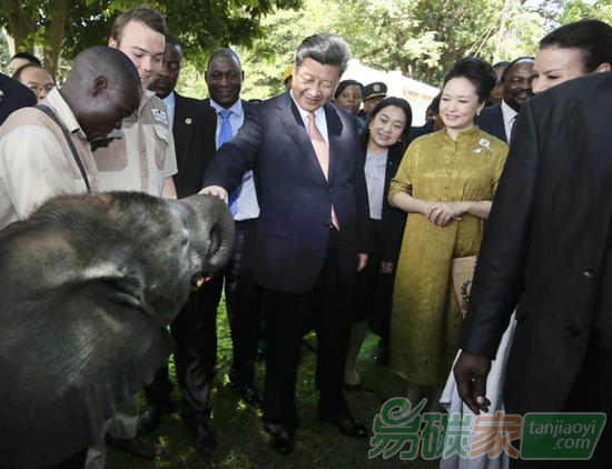 2015年12月2日，國家主席習(xí)近平在津巴布韋考察野生動物救助基地。新華社記者蘭紅光攝
