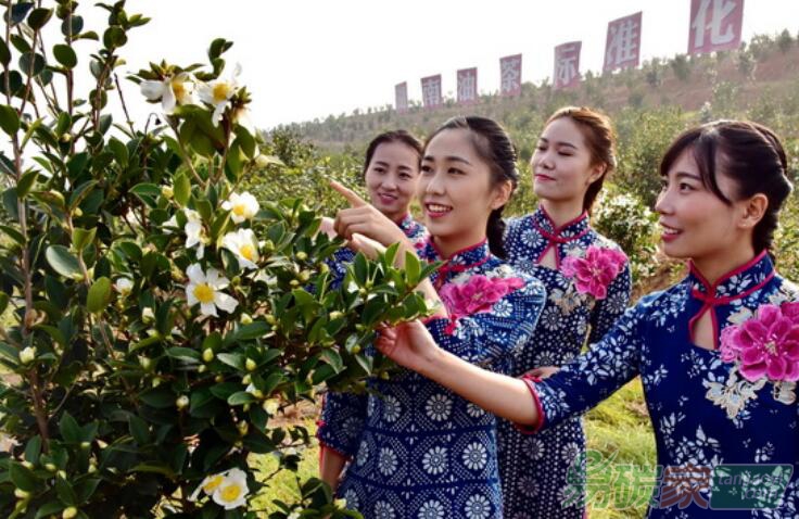 國家林草局：鼓勵商業(yè)性金融機構(gòu)發(fā)展林權(quán)抵押等多項貸款
